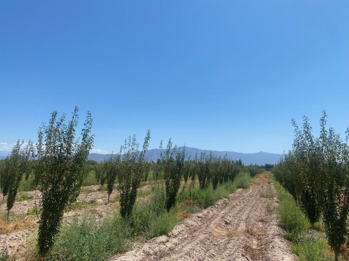 Albardón El Rincon Del Neneヴィラ エクステリア 写真